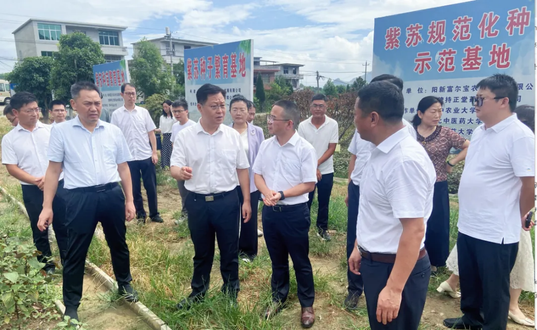 1753320210948066.png 企業微信截圖_17533202077496.png